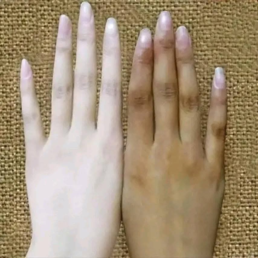 WhatsApp Image 2025-08-23 at 03.06.54_b3608141